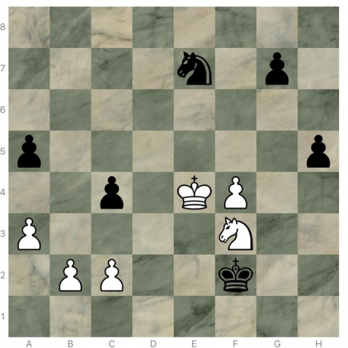 Diagramme : partie de Yohann, position après 46… R×f2